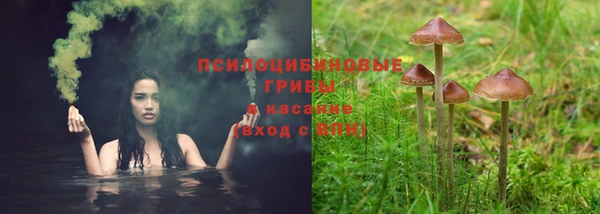 амфетамин Гусь-Хрустальный