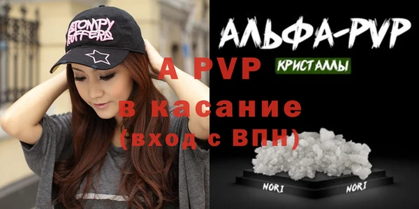 ПСИЛОЦИБИНОВЫЕ ГРИБЫ Гусиноозёрск