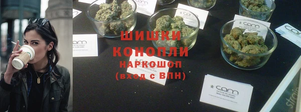 ПСИЛОЦИБИНОВЫЕ ГРИБЫ Гусиноозёрск
