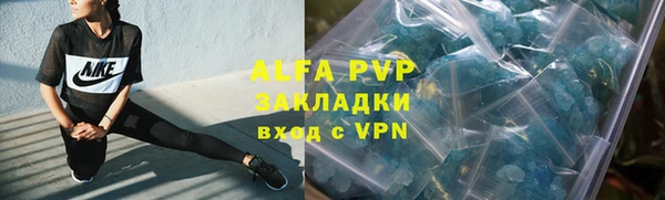 ПСИЛОЦИБИНОВЫЕ ГРИБЫ Гусиноозёрск