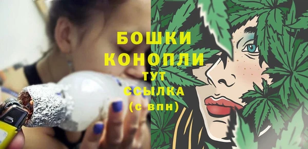 ПСИЛОЦИБИНОВЫЕ ГРИБЫ Гусиноозёрск